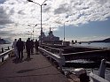 Zampa (115)